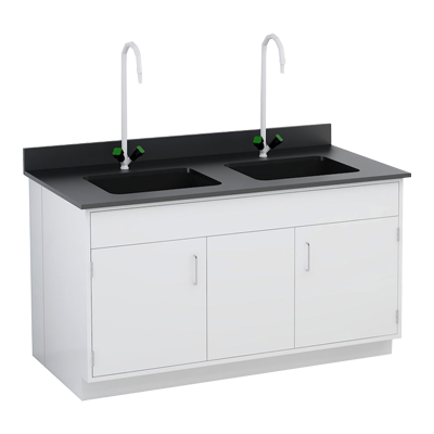 Double Basin Laboratory Sink Station

